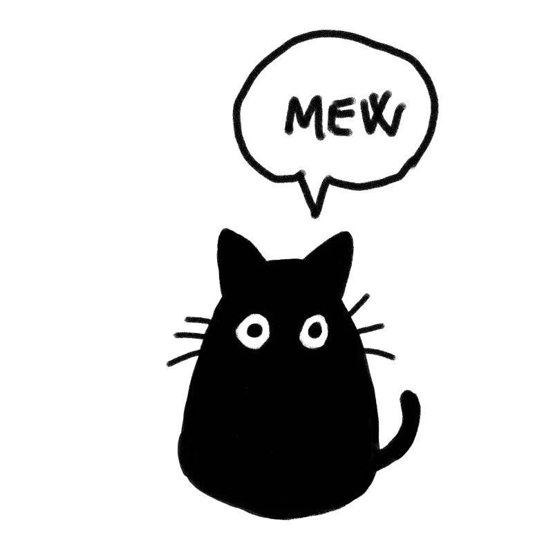 Chat