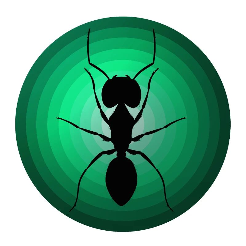 Fourmis