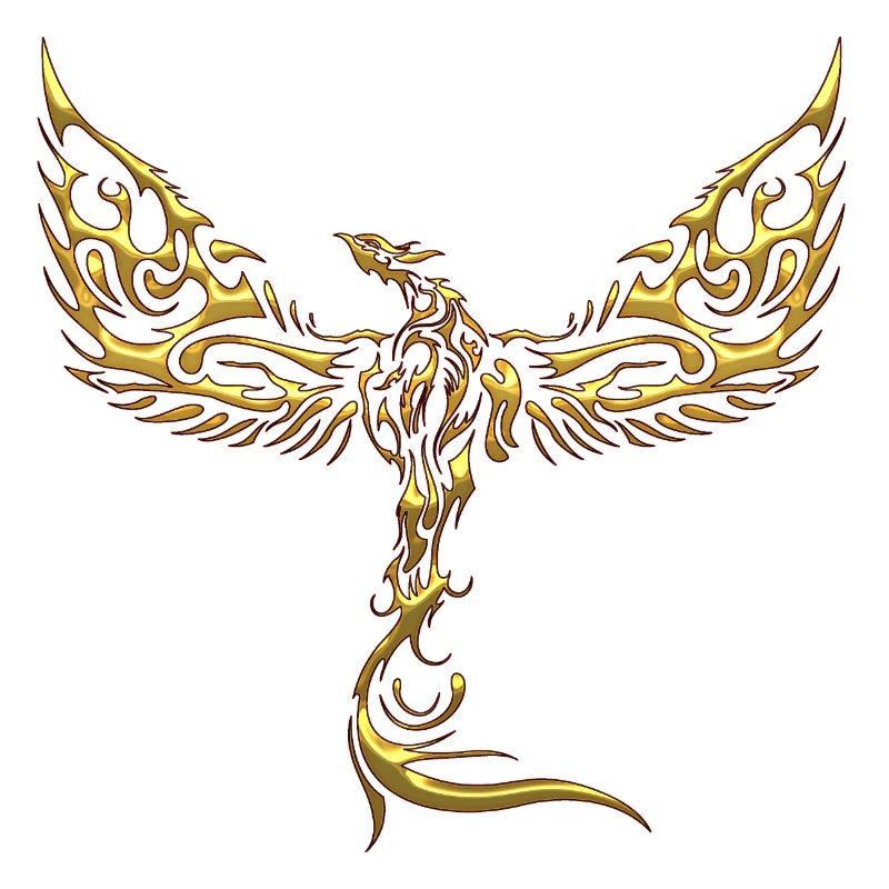 Aigles-Aigles-Aigles-Aigles-Oiseau-Oiseau