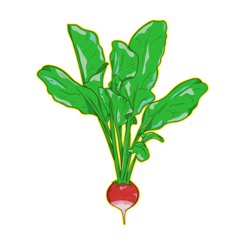 RADISH