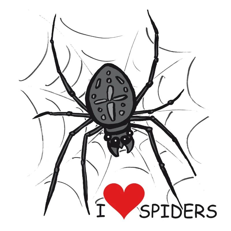 Spinne, Spinnennetz, Halloween