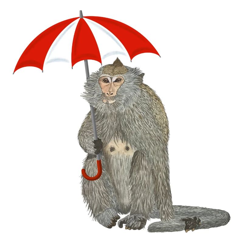 Affe Regenschirm