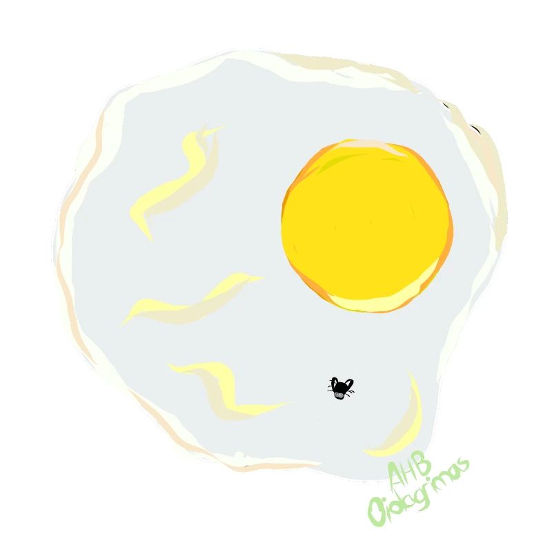 FRIED EGG v fly