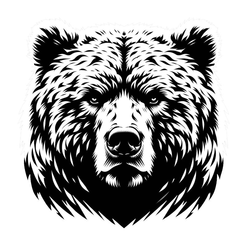 Mighty Bear | Powerful bear