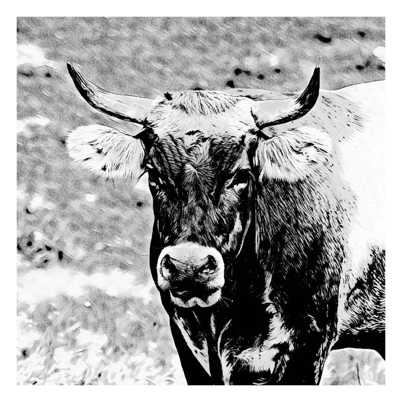 Taureau