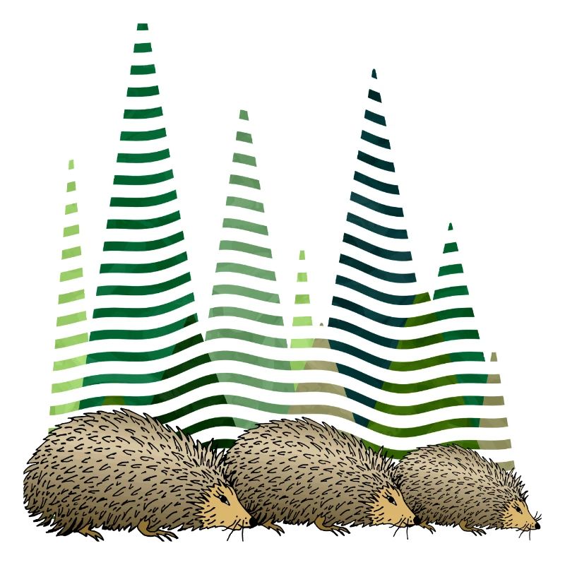 Hedgehogs