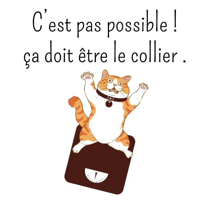 Ça doit être mon collier -humour perte de poids