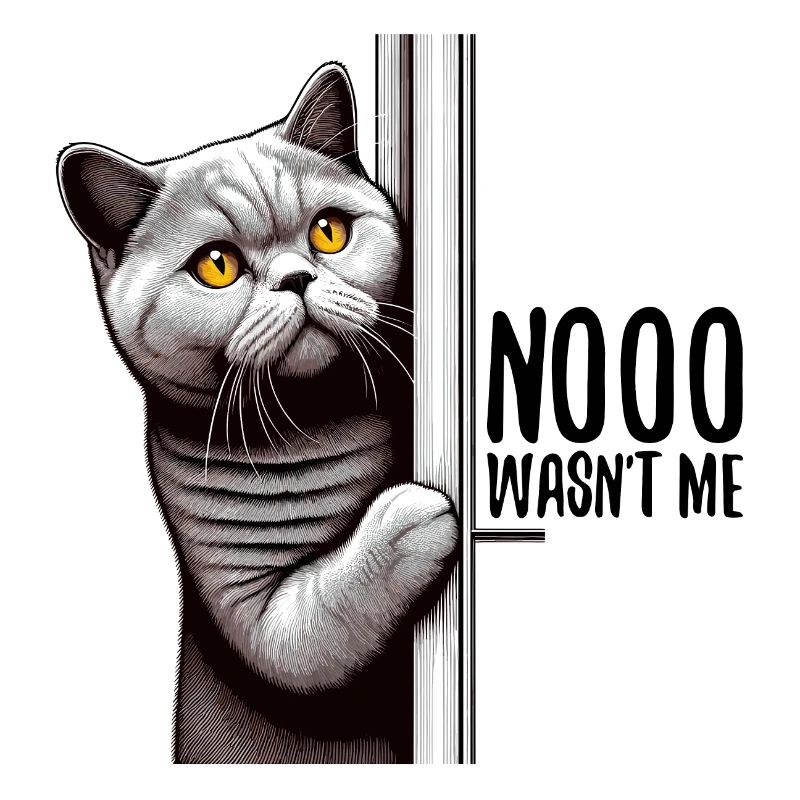 Non, je n’étais pas BKH Blue Cat cadeau