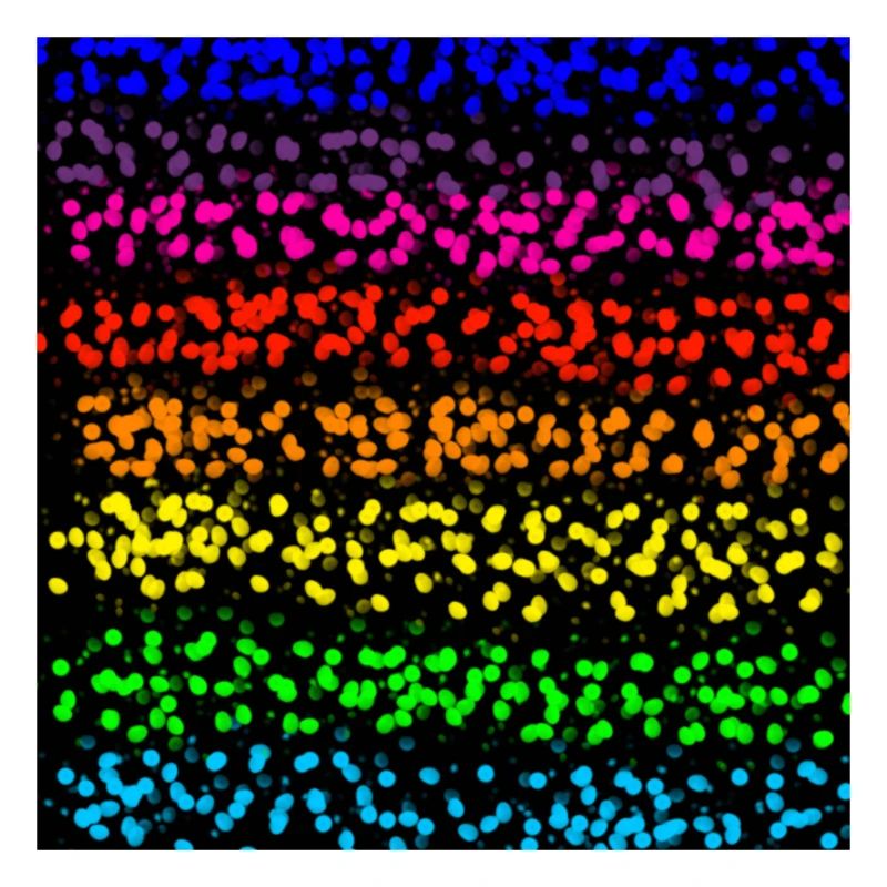 Rayures à points de couleur arc-en-ciel