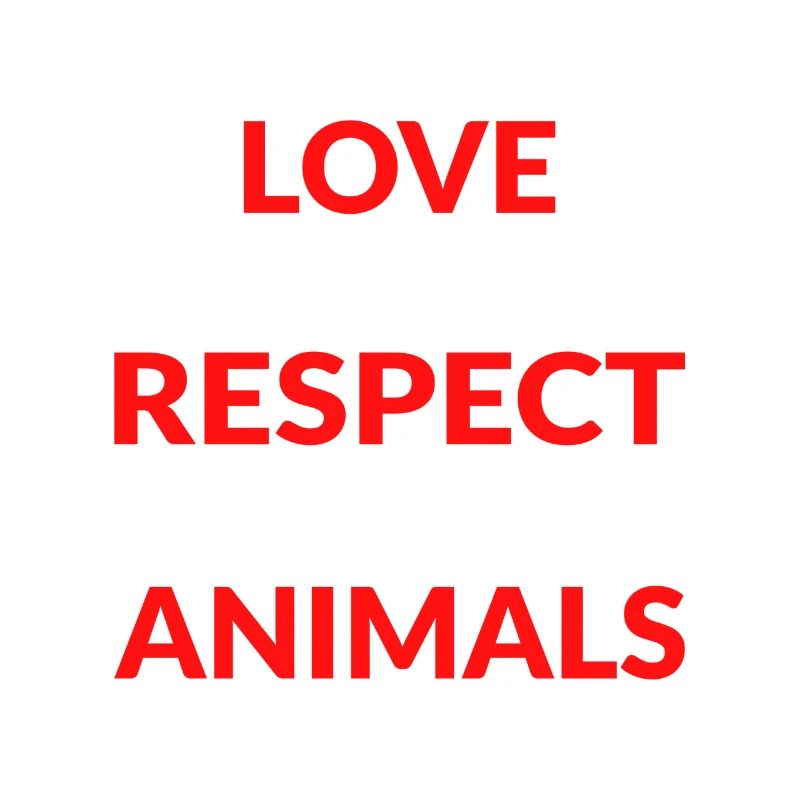 Respect Acceptance Tolerance Recognition Validity