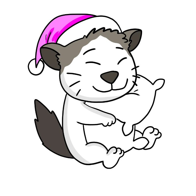 Katze Katzenrasse Ragdoll