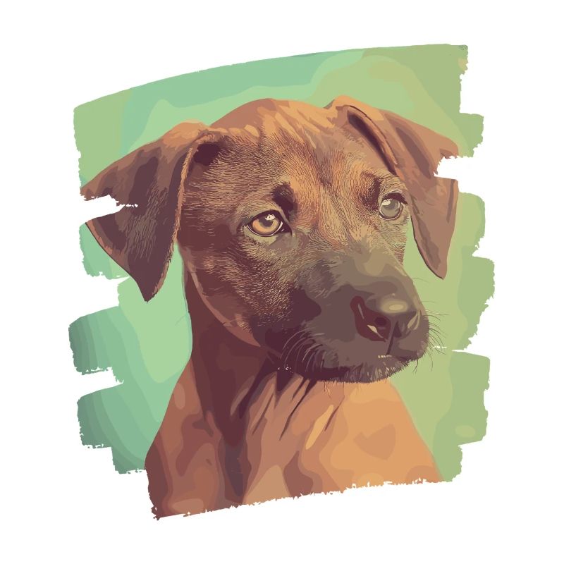 Rhodésian Ridgeback
