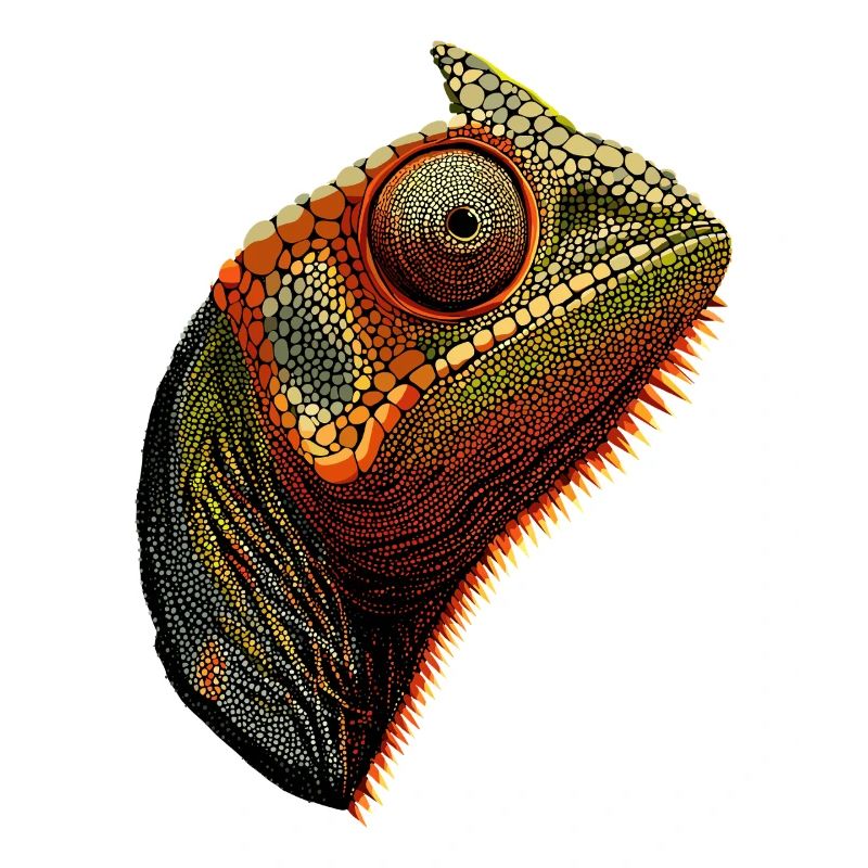 Chameleon Lizard Reptile Chameleon Iguana Lizard