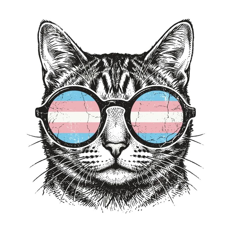 LGBT-Pride-Monat – Trans-Pride-Katze
