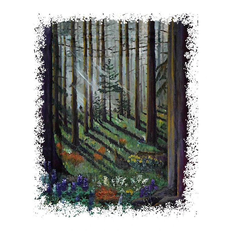 Sunlit Forest with Shadowed Glade