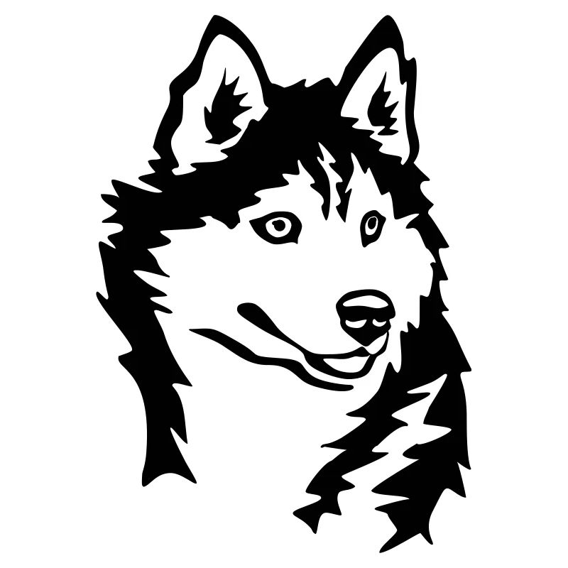 Husky head