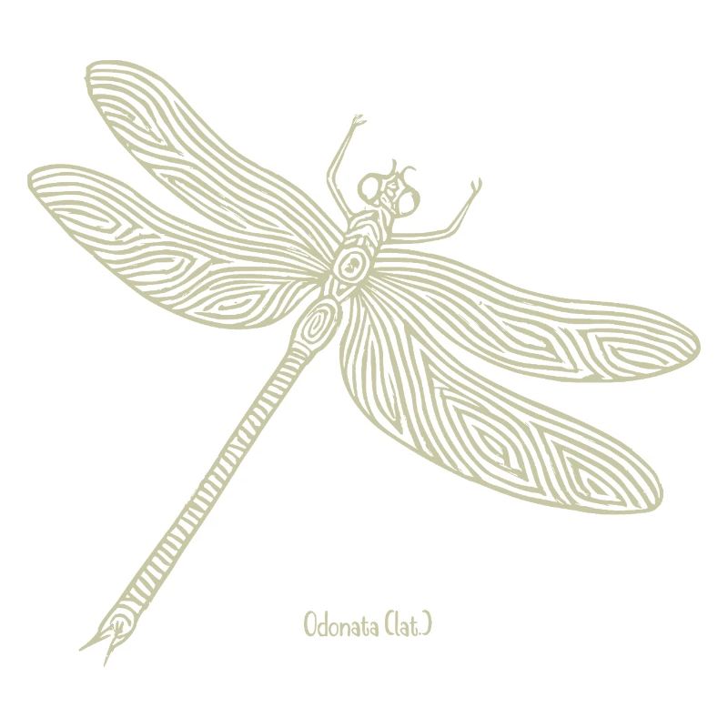 Libellule Odonate