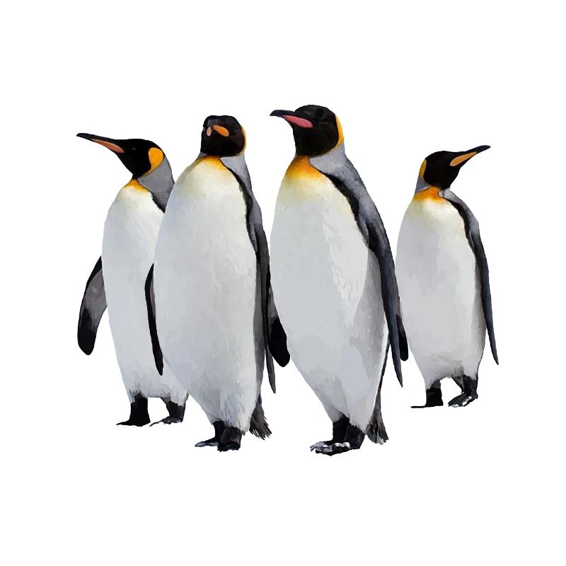 Penguins
