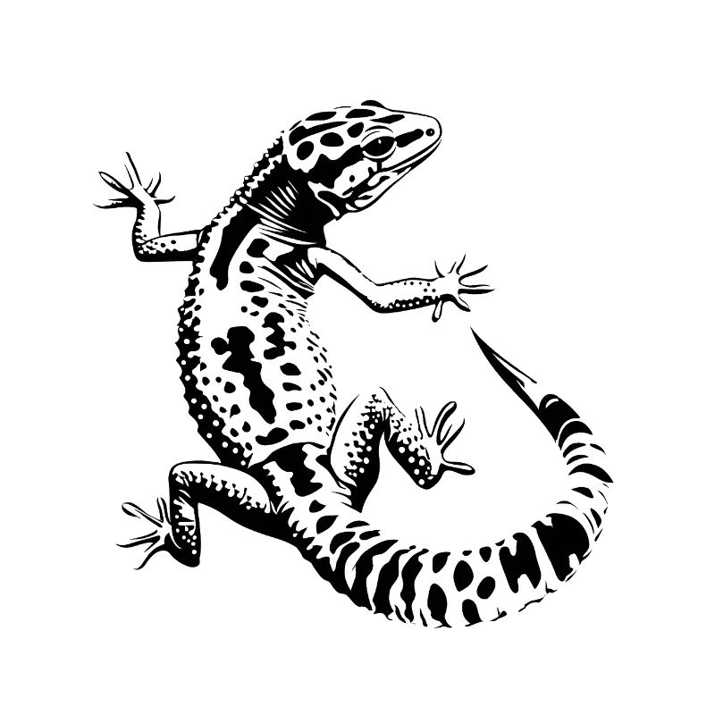 Leopardgecko