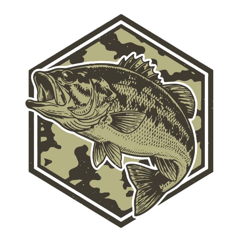 La basse dans l’hexagone de camouflage