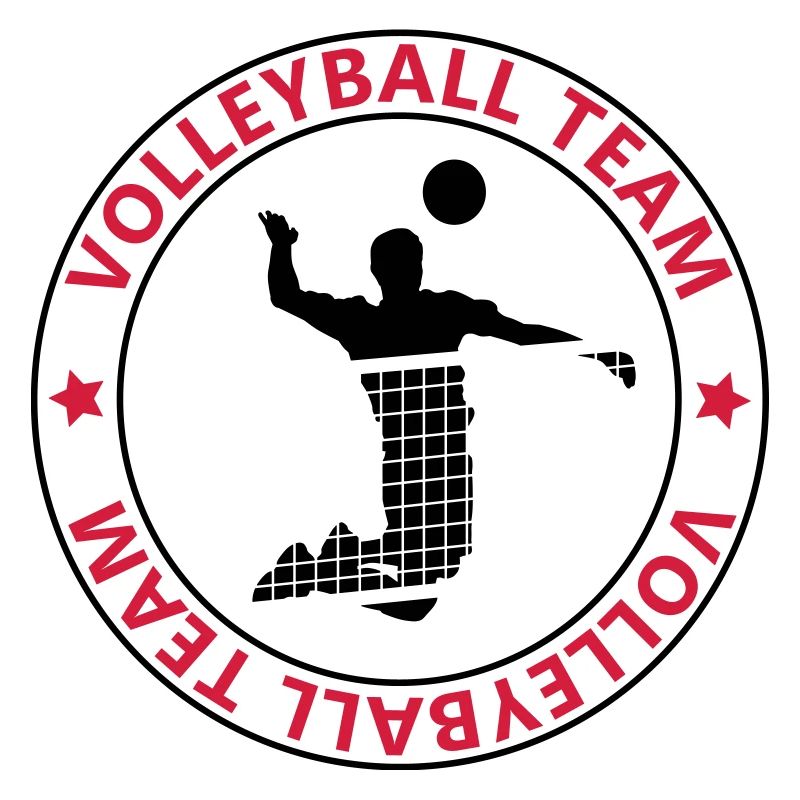 l'équipe de volley-ball