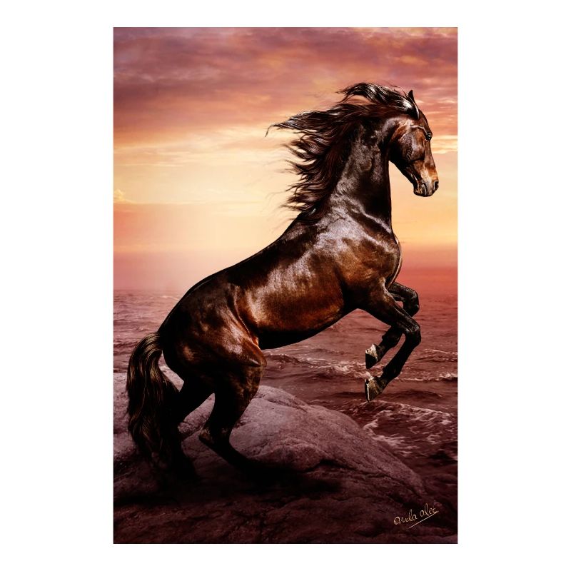 Cheval sauvage, liberté et esprit indomptable
