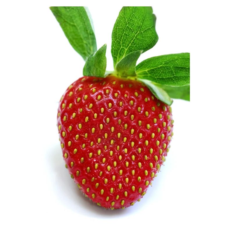 Erdbeere