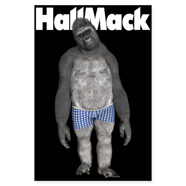 HallMack Poster