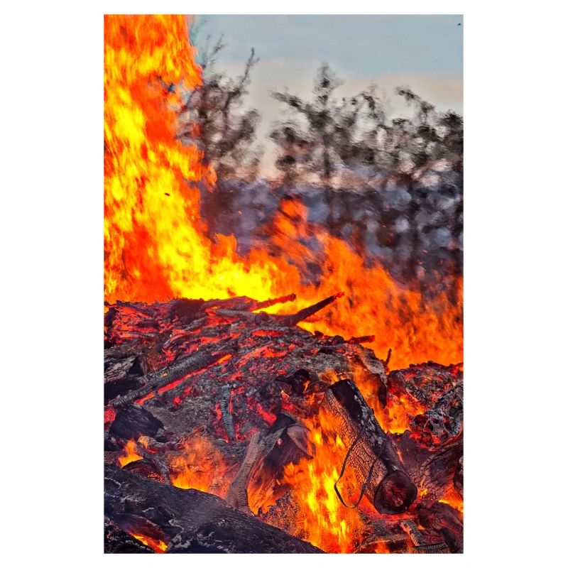 Fire & Flame Easter Fire Poster