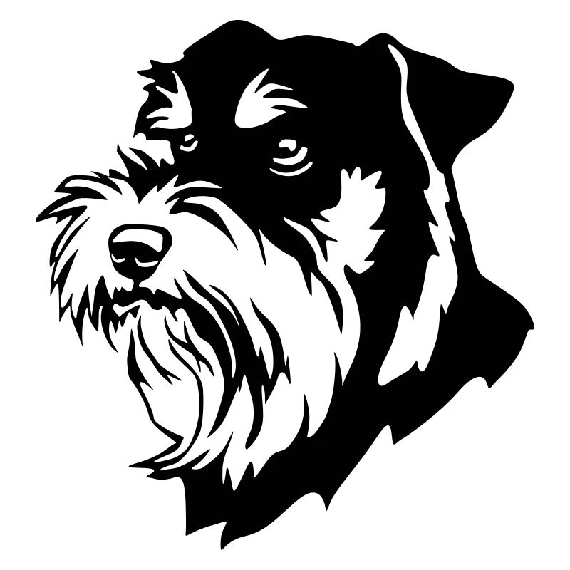 Schnauzer head
