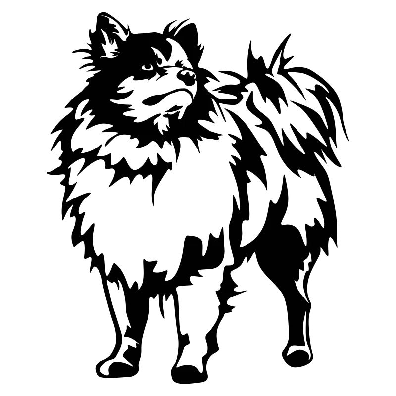 Spitz