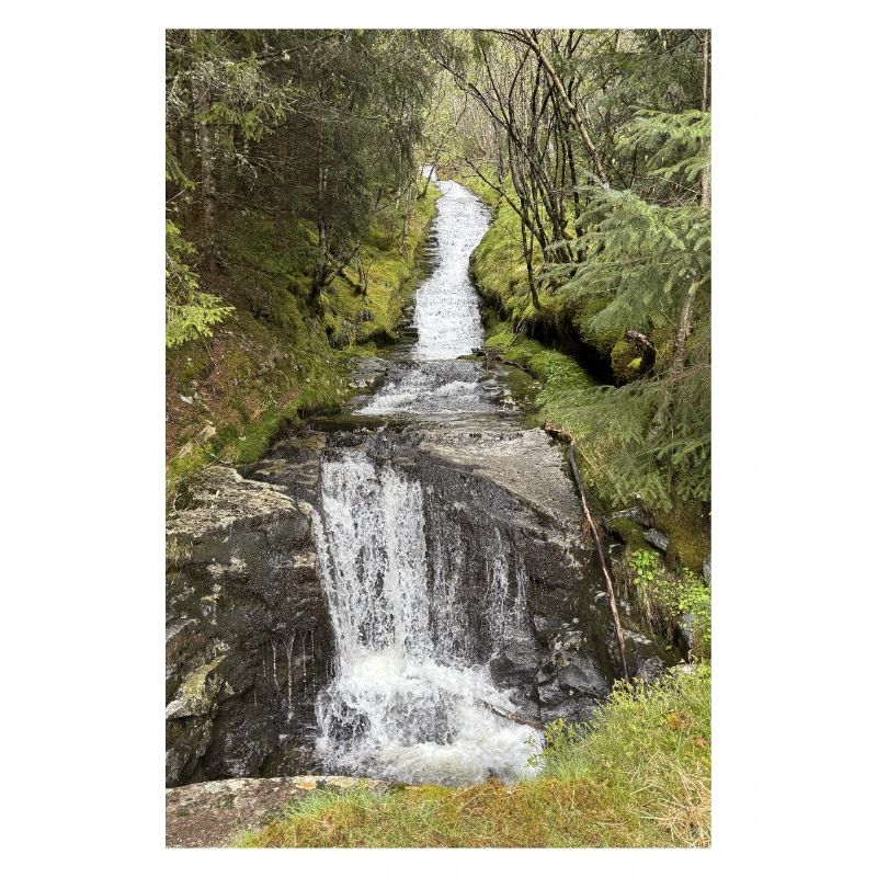 Conception de cascade de parc naturel