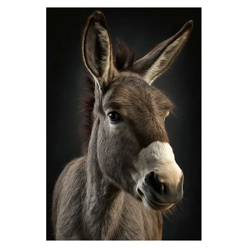 Donkey Realistic Cool