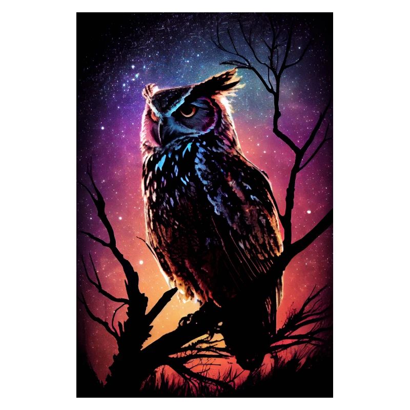 Eule Vogel Tier Eulen Night