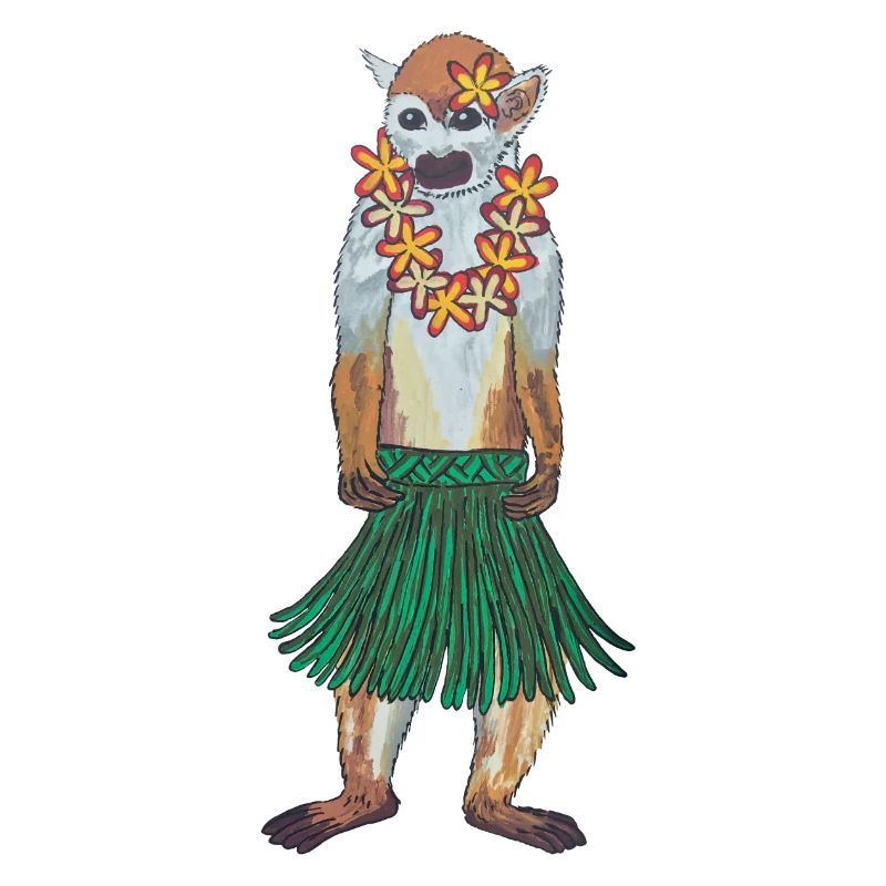 Squirrel Monkey Monkey Hawaii Hula Monkey Hula Hoola