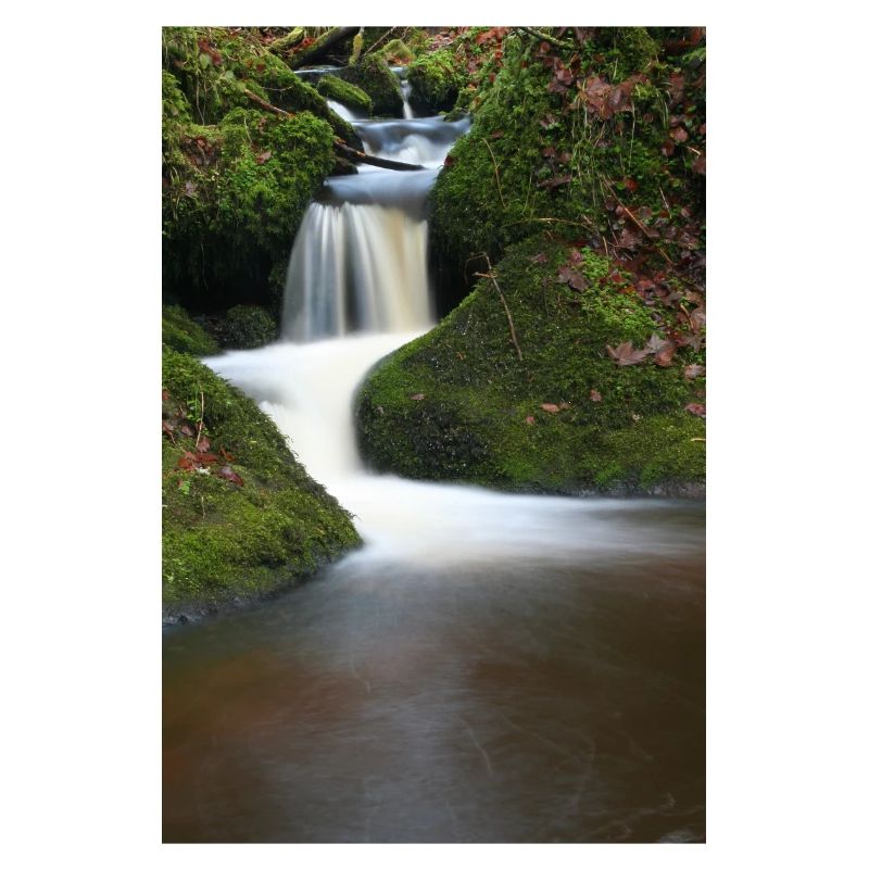 Motif de la cascade de Mooswald