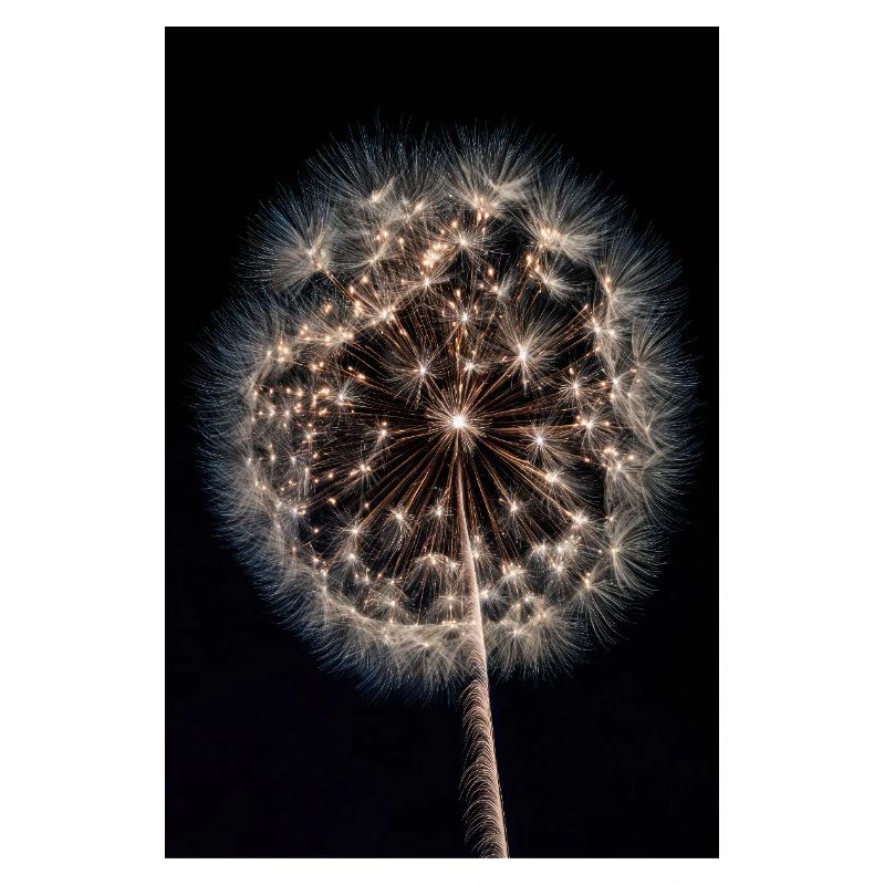Leuchtendes Löwenzahn-Feuerwerk