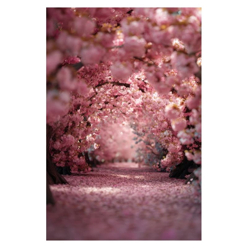 Cherry Blossom Arch Path