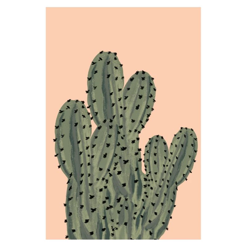 Boho Chic Cactus Illustration on Pink Background