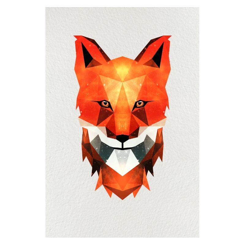 Fuchs geometrisch