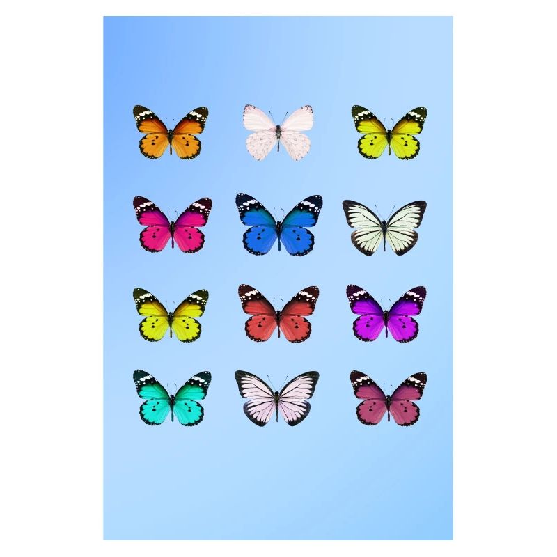 Affiche papillon