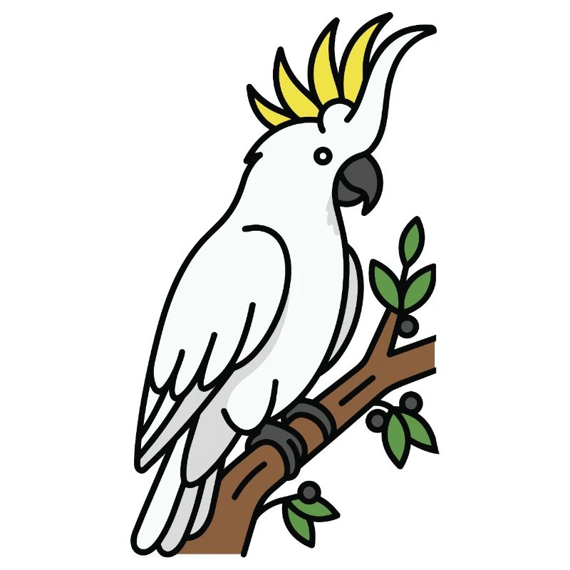 Cacatoès oiseau d’Australie
