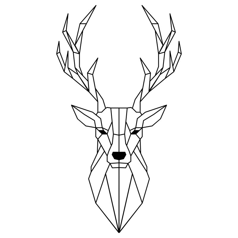 Polygone de cerf