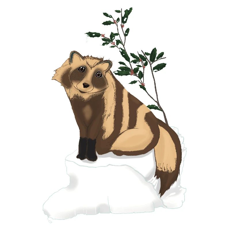 Tanuki sous le gui