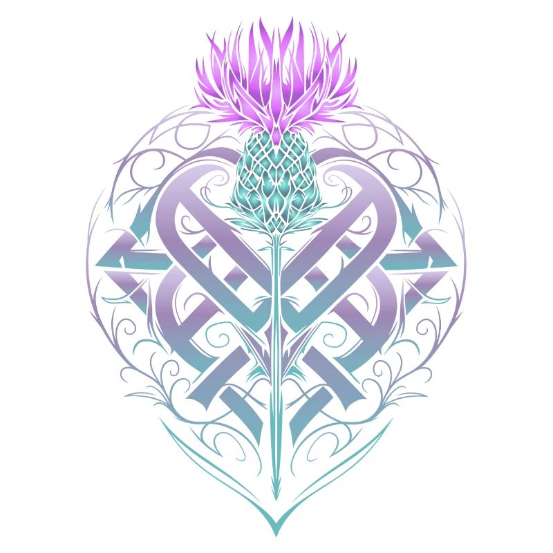 Thistle Shield Celtic Knots Thistle Lover
