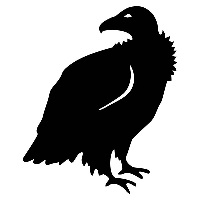 Vulture