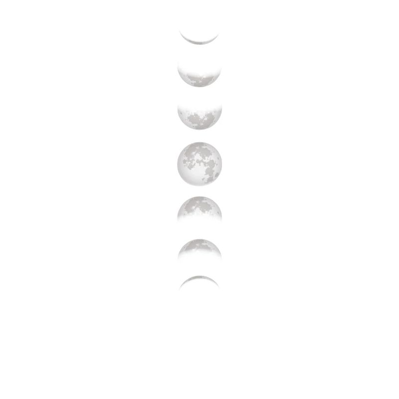 Moon Moon Moon Phases Full Moon Lunar Eclipse Total