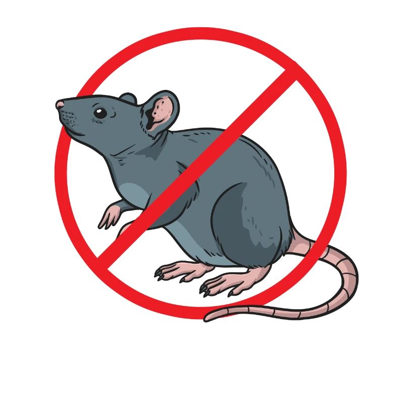 Schädlingsbekämpfung Kammerjäger