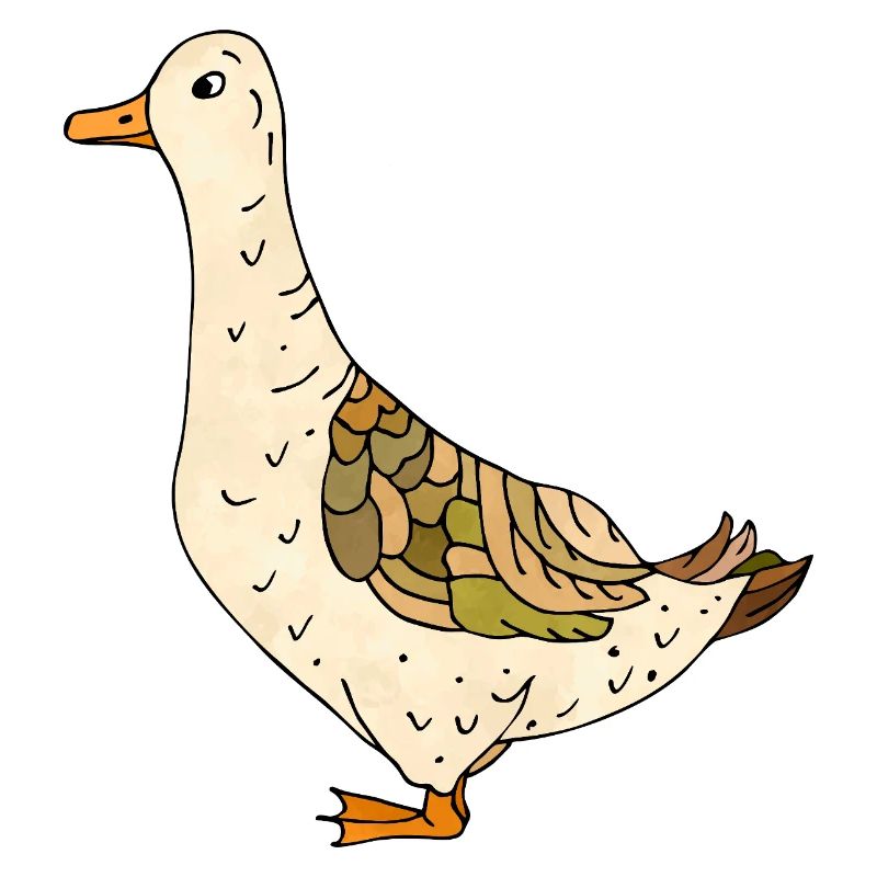 duck