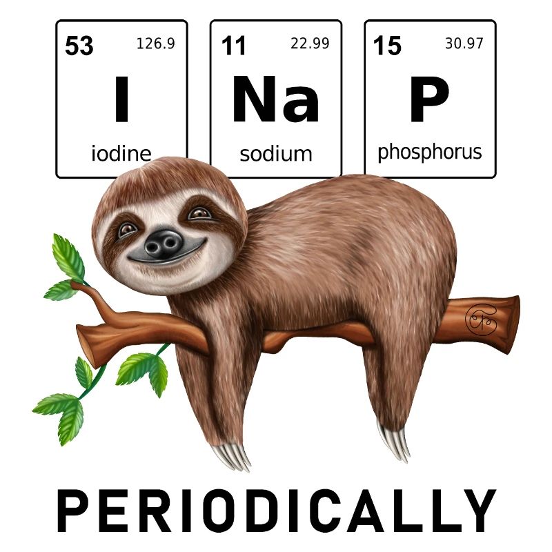 I nap periodically funny sloth saying